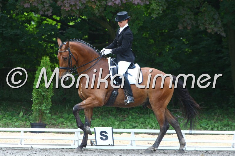 009M2891_Wunderkind_Dressur Mxx.JPG